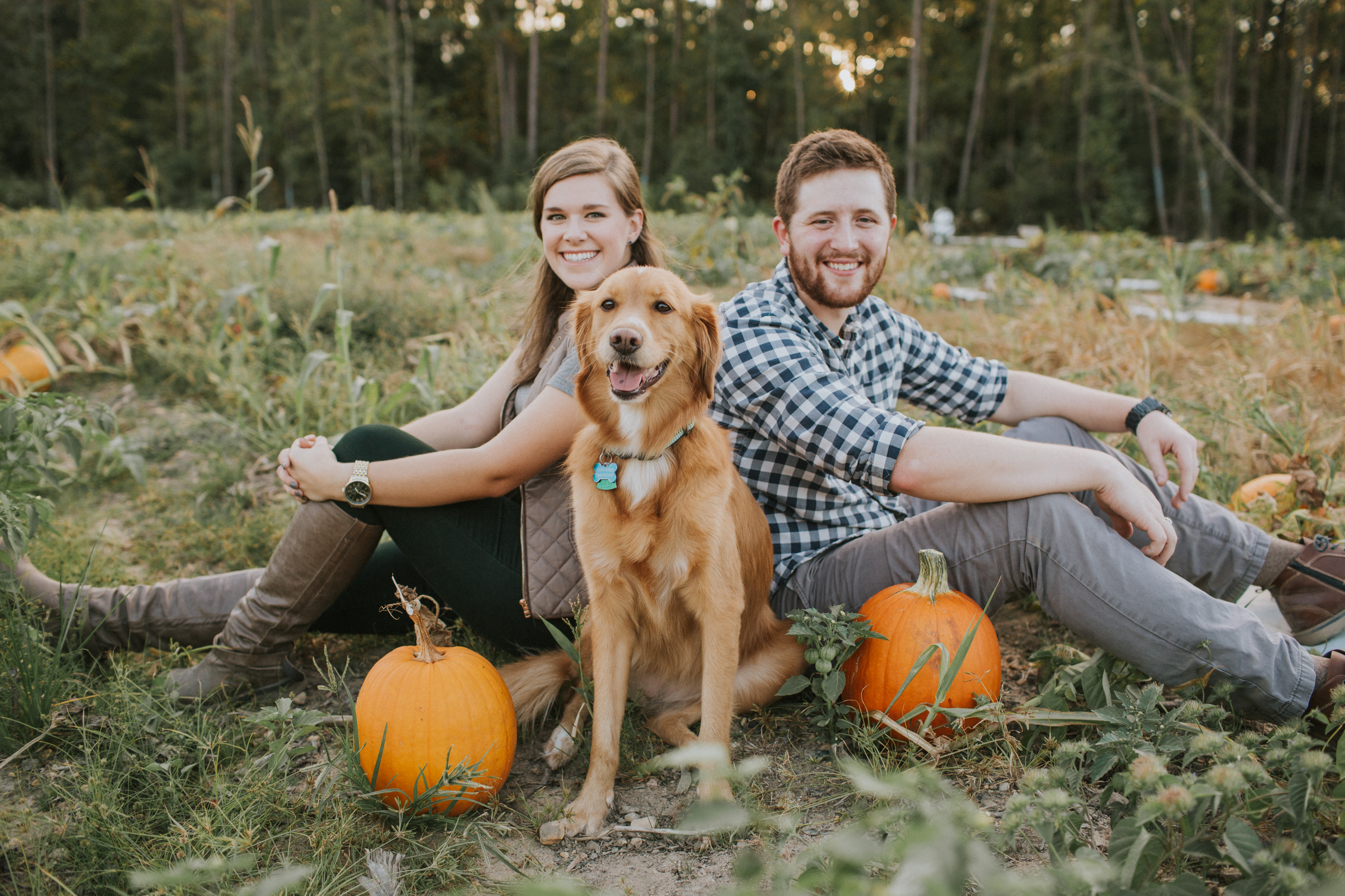 Pumpkin Family by H+M Photography