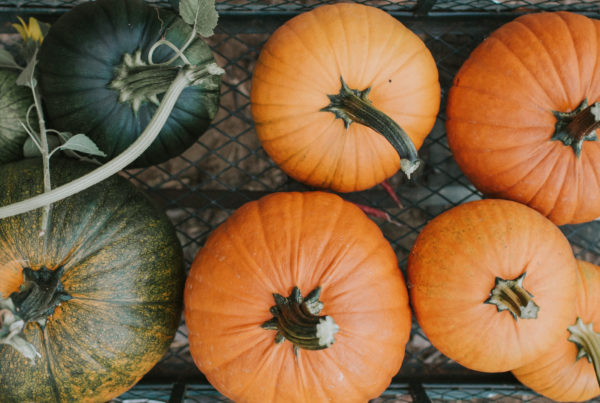 Pumpkins by H+M Photography